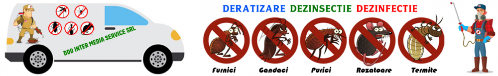 dddintermedia_1000_02