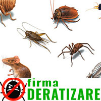 Firma Deratizare