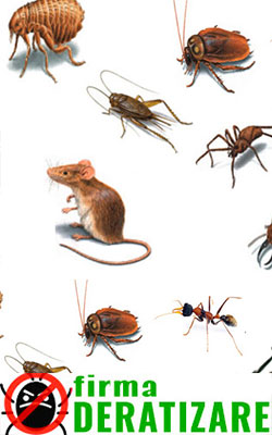 Firma Deratizare