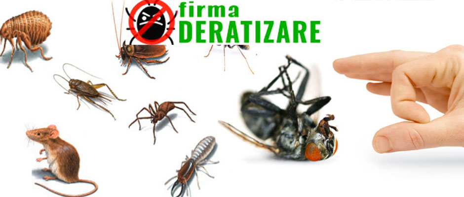 Firma Deratizare