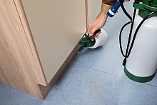 Deratizare Bucuresti