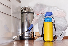 Dezinsectie apartament