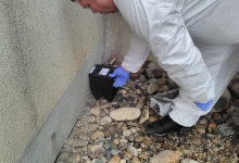 Firma Deratizare Timisoara R.D.A. TOP SRL