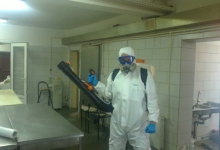 Firma Deratizare Timisoara R.D.A. TOP SRL