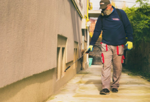 Firma Deratizare Galati DDD Nord