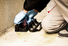 Firma Deratizare Galati DDD Nord