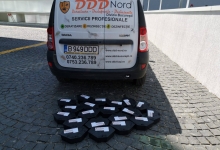 Firma Deratizare Galati DDD Nord